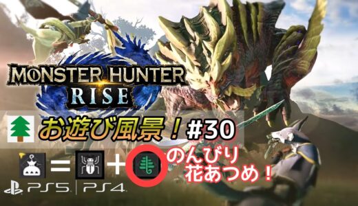 モンスターハンターライズ お遊び風景！#30  2023.02.17【MONSTER HUNTER RISE】