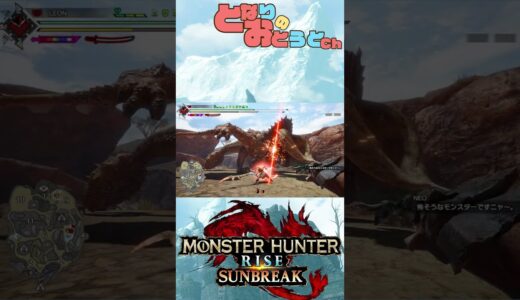 【モンハン】写真家ハンターの奮闘記　【Monster Hunter SunBreak】【モンスターハンターライズ】【サンブレイク】【となおとCh】#Shorts