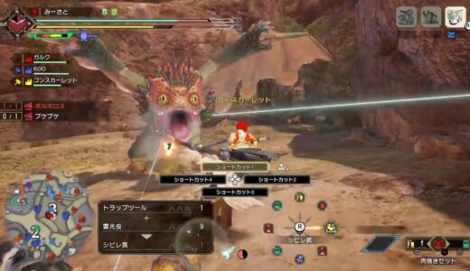 [ モンスターハンターライズ ]　今日から集会上位やっていくっ！　[ PS4 ]