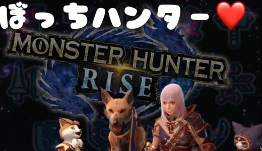 【初心者】PS4版モンハンライズ　ソロを極める【RISE】