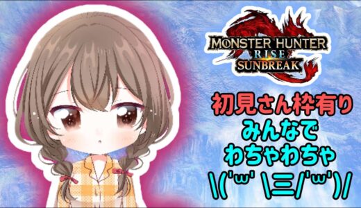 錬成うひょー！なんですってよ　モンハンライズサンブレイク【Switch版】