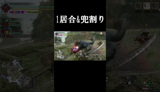 【モンハン】自分は両方で…#short #モンハン #mhrise #mhrsb #モンハンライズ #サンブレイク #太刀