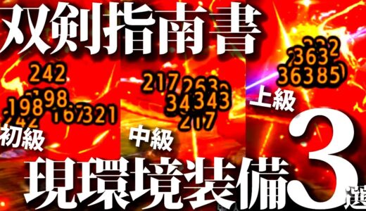 【最新版】最火力装備は要注意。双剣初級～上級者別おすすめ装備まとめ、現環境でより重要になった入替技も少し紹介【モンハンライズサンブレイク】