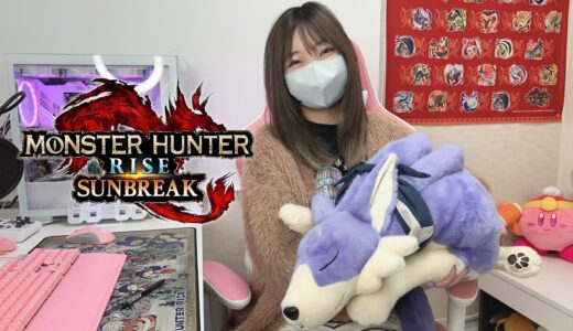今日はなんだか当たる気がします。【モンハンサンブレイク】