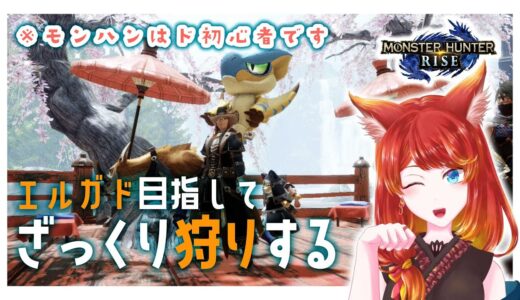 【モンハンライズ 】まったり集会所下位クエスト〜上位クエスト目指す 【下位星3〜】