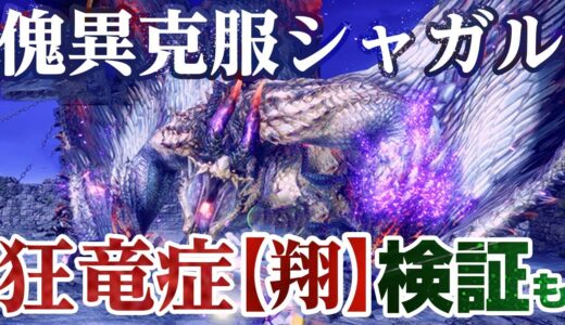 【検証＆初見】胴装備、強すぎない？新スキル「狂竜症【翔】」は翔蟲ゲージが4つになるけど…傀異克服シャガルマガラ狩猟笛ソロ【モンハンライズ サンブレイク】