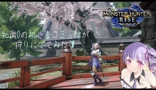 [MH：RISEモンハンライズ/PS4］参加型　初見歓迎　下手くそコミュ障が狩りにでてみる