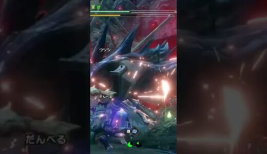 そんな結末【MHRise:SANBRAK-switch】モンスターハンターライズ