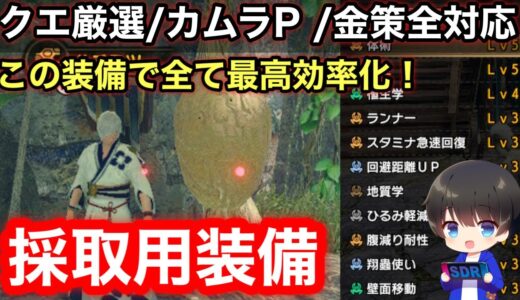 【採取装備】クエスト厳選/カムラP稼ぎ/金策に！1度作ればずっと使える採取用装備構成について解説！【探索/カムラポイント稼ぎ】【5乙/4乙25分】【MHRsb】【モンハンライズ：サンブレイク】