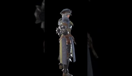 【モンハンライズ】バギィヘルムを使った重ね着装備【PS版】