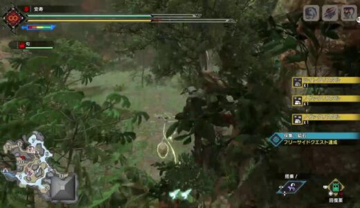 PS5版モンハンライズ　参加者募集