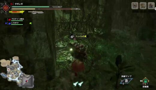 モンハンライズ(初見さん大歓迎ps4,5参加型VCおけ）　モンハンライズを始めてやる！