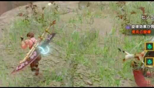 【モンハンライズ】ヒノエさんのレアボイス？【サンブレイク】#shorts #MHRise #Sunbreak #Hinoa