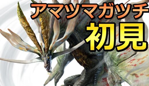 アマツマガツチ初見がすごいらしいので楽しむぞ！【詳しくは概要欄に】