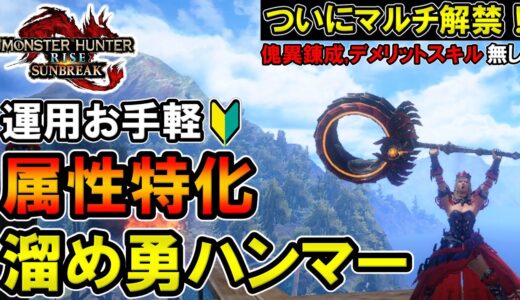 【サンブレイク】ハンマーを始めようと思ってる方必見！傀異錬成無しで組めるお手軽属性溜め変化勇ハンマー【モンハンライズ】