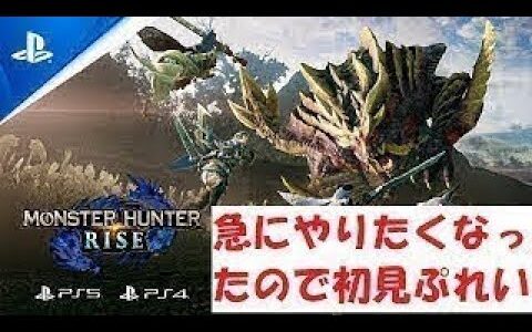 【モンスターハンターライズ】初見ぷれい。俺はランスでいく　５【ランス】