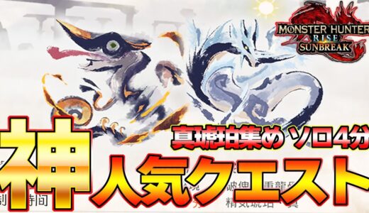 今1番話題のナズチカーナ！超簡単にソロ４分で周回する火属性双剣装備はこれだ！精気琥珀集め用【モンスターハンターライズ：サンブレイク】