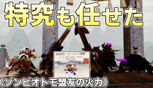 不死身と化した鎖鎌ガルク2匹とジェイ＆ルーチカなら体力20万の特別討究を破壊できる【モンスターハンターライズサンブレイク実況】