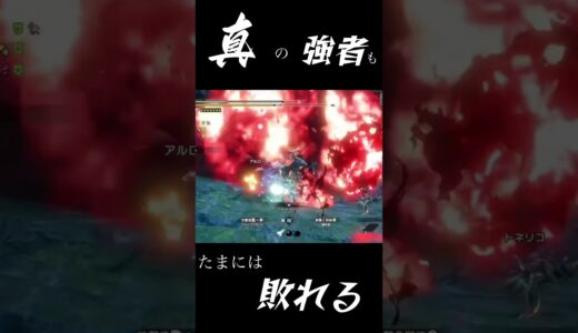 【MH:RISE】真の強者もたまには敗れる... #モンスターハンター #モンスターハンターライズ #ガンランス