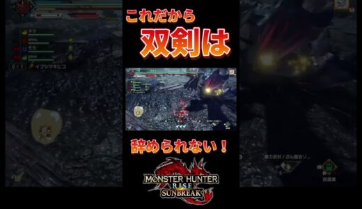 【モンハンサンブレイク】これだから双剣は辞められない！！【MH:SB /MHRise/モンハンライズ】  #shorts