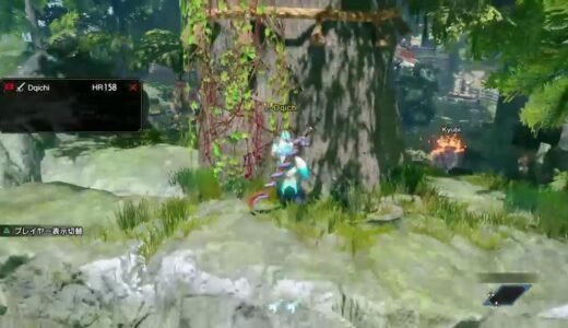 [PS版]モンスターハンターライズ　参加型　初見さん&初心者さん大歓迎