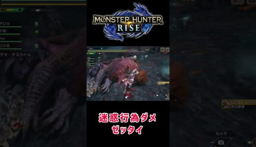 PS5【モンハンライズ】迷惑行為はダメ！ゼッタイ！