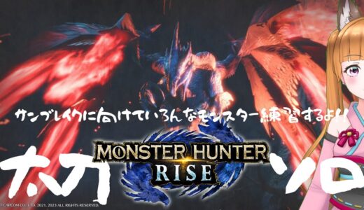 【モンハンライズ/PS5】太刀上手くなりたいからソロで練習ー！ヌシもいくかも？いかないかも？【MHRISE】