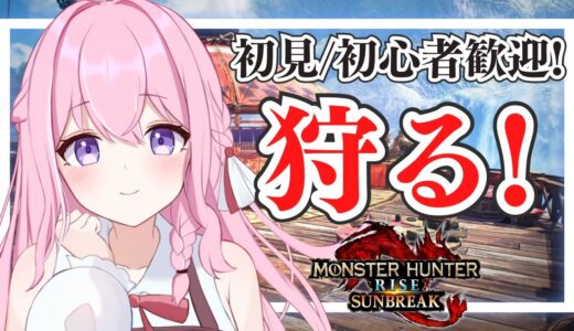 【参加型】楽しくひたすら狩る！チャアクふり回します！【モンハンライズサンブレイク/Switch版/紗茶子】