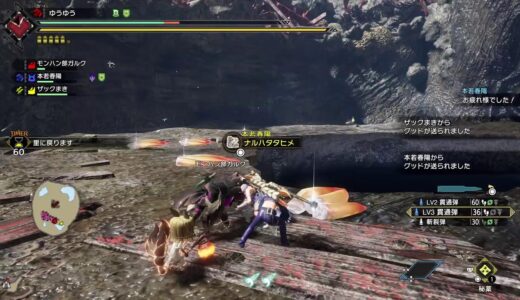 モンハンライズ　友達と　VCはなしで