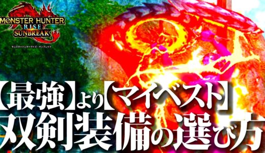 【必須知識】トップ双剣火力・おすすめより自分に合った新環境双剣装備の選び方＆新環境双剣事情【双剣初心者向/モンハンライズサンブレイク】