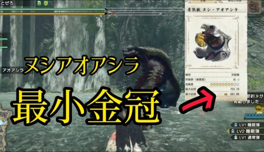 【モンハンライズ】#９ヌシアオアシラ最小金冠