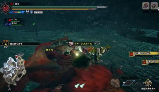 モンハンライズ　参加型　あんまり長くはしません