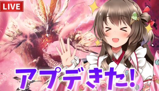 アプデだ！リハビリだ！傀異討究レベルあげるぞおお！ 【モンハンライズサンブレイク】