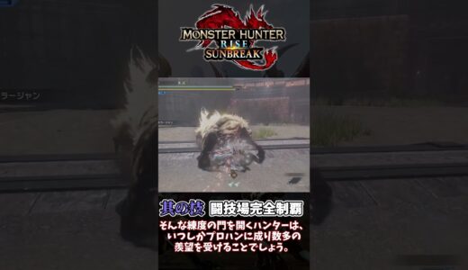廃人やりこみ「心・技・体」【モンハンライズ】