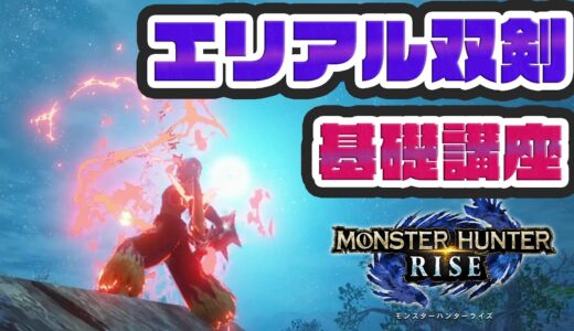 双剣の入れ替え技の全てをちゃんと解説する【モンハンライズ】【双剣】基礎講座