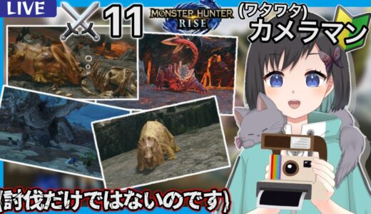 【モンハンライズ】(ワタワタ)カメラマン、初出勤！　本日のモデルさんは…….え?!　⚔11    -Monster Hunter Rise‐【鵺惹あお / 新人Vtuber】