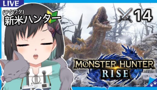 【モンハンライズ】しっぽ狩りハンター(?)、集会所を徘徊！　⚔14    -Monster Hunter Rise‐【新人Vtuber / 鵺惹あお】