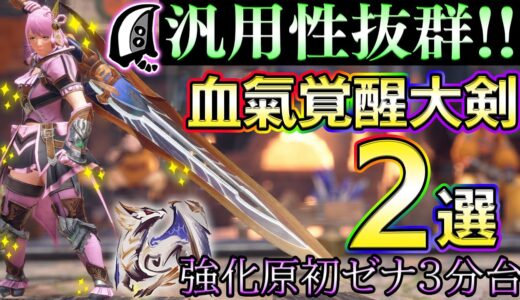 汎用性抜群すぎる！！血氣覚醒大剣装備2選！！強化原初メル・ゼナ3分台【MHサンブレイク】【モンハンライズ】