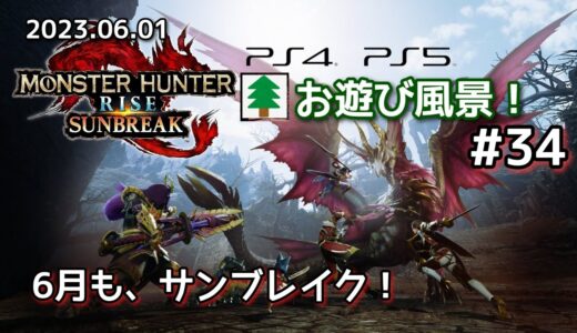 モンスターハンターライズ サンブレイク お遊び風景！#34 2023.06.01【MHR:SB】