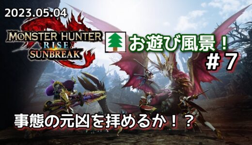 モンスターハンターライズ サンブレイク お遊び風景！#7 2023.05.04【MHR:SB】