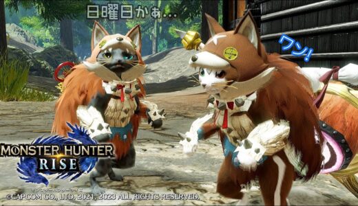[MHRise] 朝活 のんびりモンハンライズ