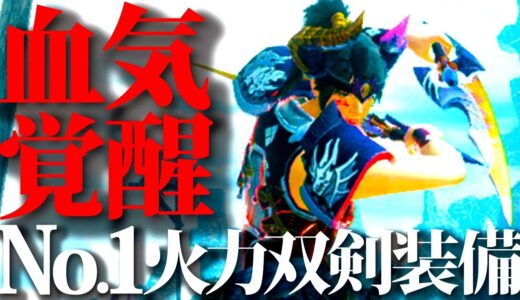 【調整済】近接No.1と話題の火力ヤバヤバ双剣は狂化Lv1でも十分。おすすめ血気覚醒・狂化奮闘型双剣装備紹介＆実戦【モンハンライズサンブレイク】