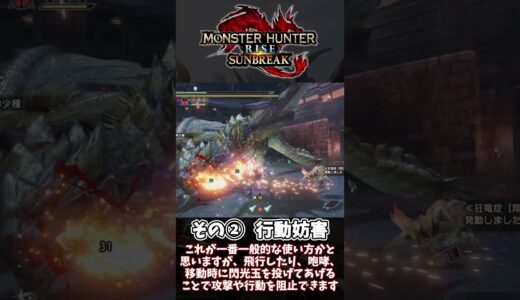 今更人に聞けない音爆弾、閃光玉の使い方【モンスターハンターライズ】