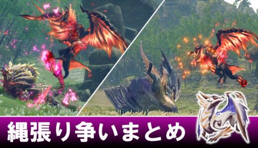 【まとめ】原初を刻むメル・ゼナの縄張り争い【サンブレイク】