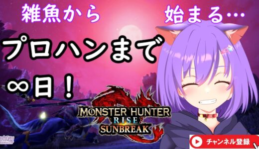 2023/7/23　【モンスターハンターライズ/サンブレイク】プロハンへの道32日目