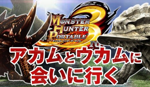 アカムトルムとウカムルバスに会いに行くモンスターハンター ポータブル 3rd【MHP3 HD】