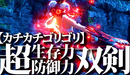 【最新型】超生存&防御特化で多少のダメは無かった事にする、被弾多い人におすすめ生存スキル盛々Lv300・4~5分討伐、双剣装備紹介＆実戦【モンハンライズサンブレイク】