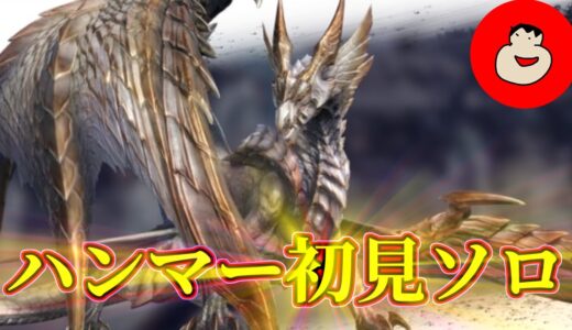 【モンスターハンターライズサンブレイク】原初を刻むメルゼナをハンマーでソロで討伐したいんじゃ！【MHRSB】
