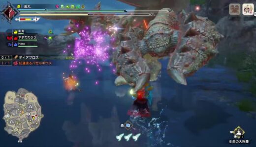 琥珀からは逃れられない月曜日【PS5版 モンスターハンターライズサンブレイク】