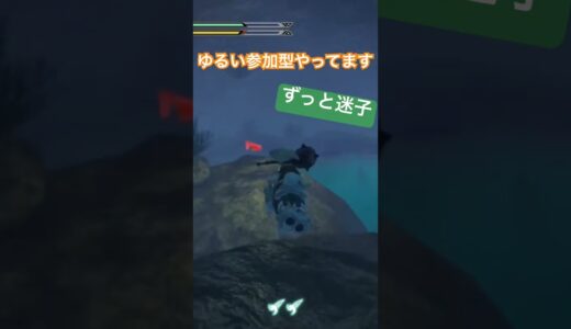 迷子になっているうちにクエスト終わりがち【モンスターハンターライズ】PS5版